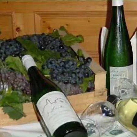 Otel Hotel-restaurant Moser Pöchlarn