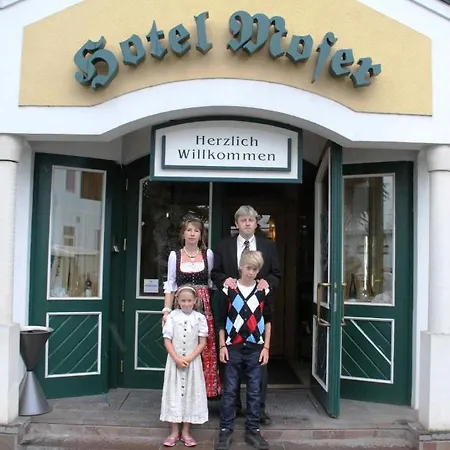 Hotel Hotel-restaurant Moser Poechlarn