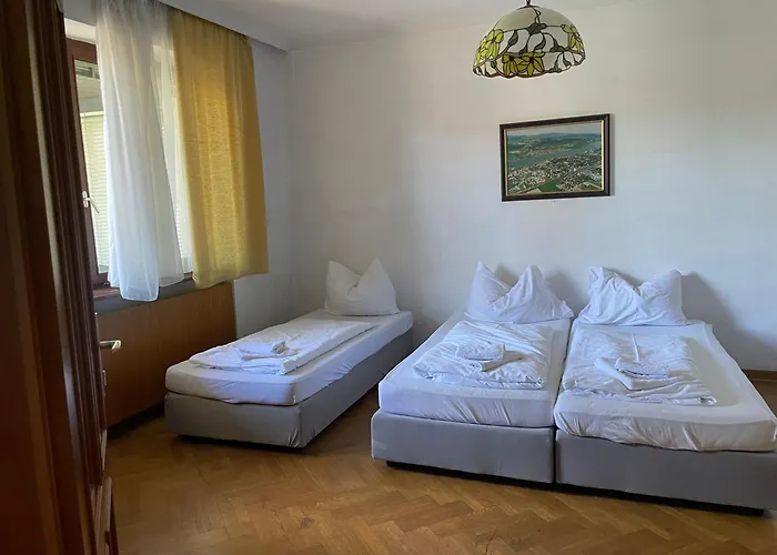 Hotel-restaurant Moser 3*