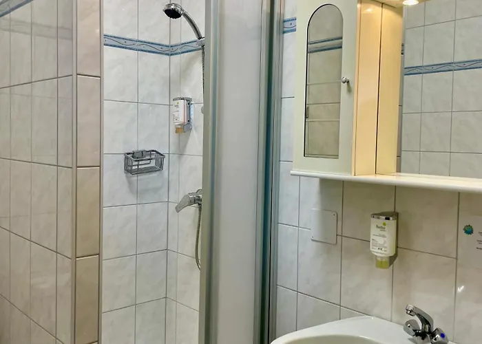 Hotel Hotel-restaurant Moser 3*