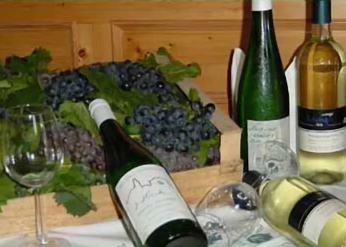 Hotel Hotel-restaurant Moser Pöchlarn