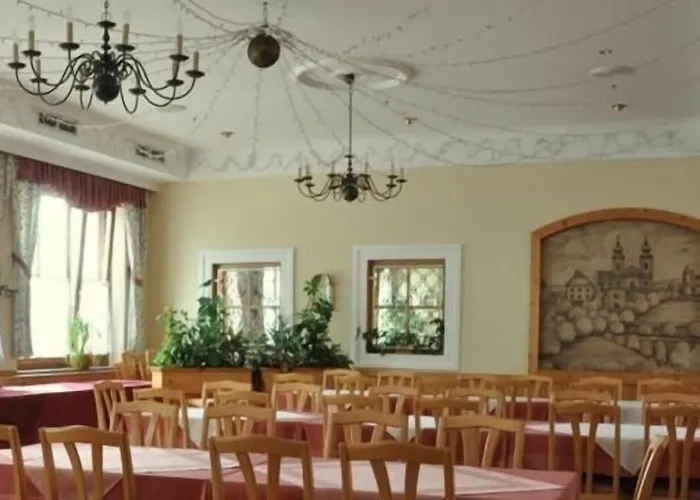 Hotel Hotel-restaurant Moser 3*