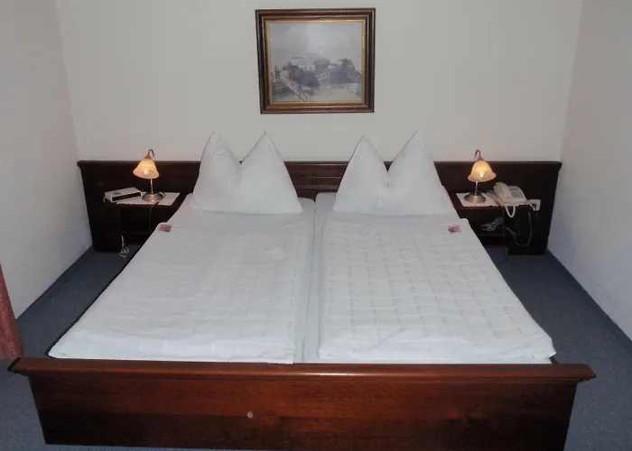 Hotel-restaurant Moser Hotel Pöchlarn