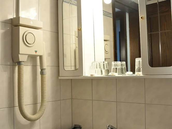 Hotel-restaurant Moser Hotel Pöchlarn