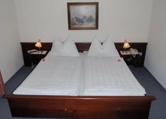 Hotel-restaurant Moser Hotel Pöchlarn